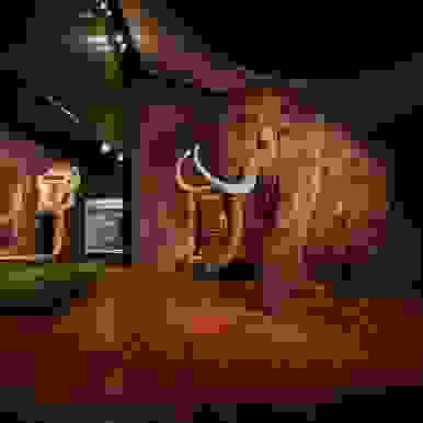 2_2_4_mammut_saebelzahntiger_3257_quadrat.jpg