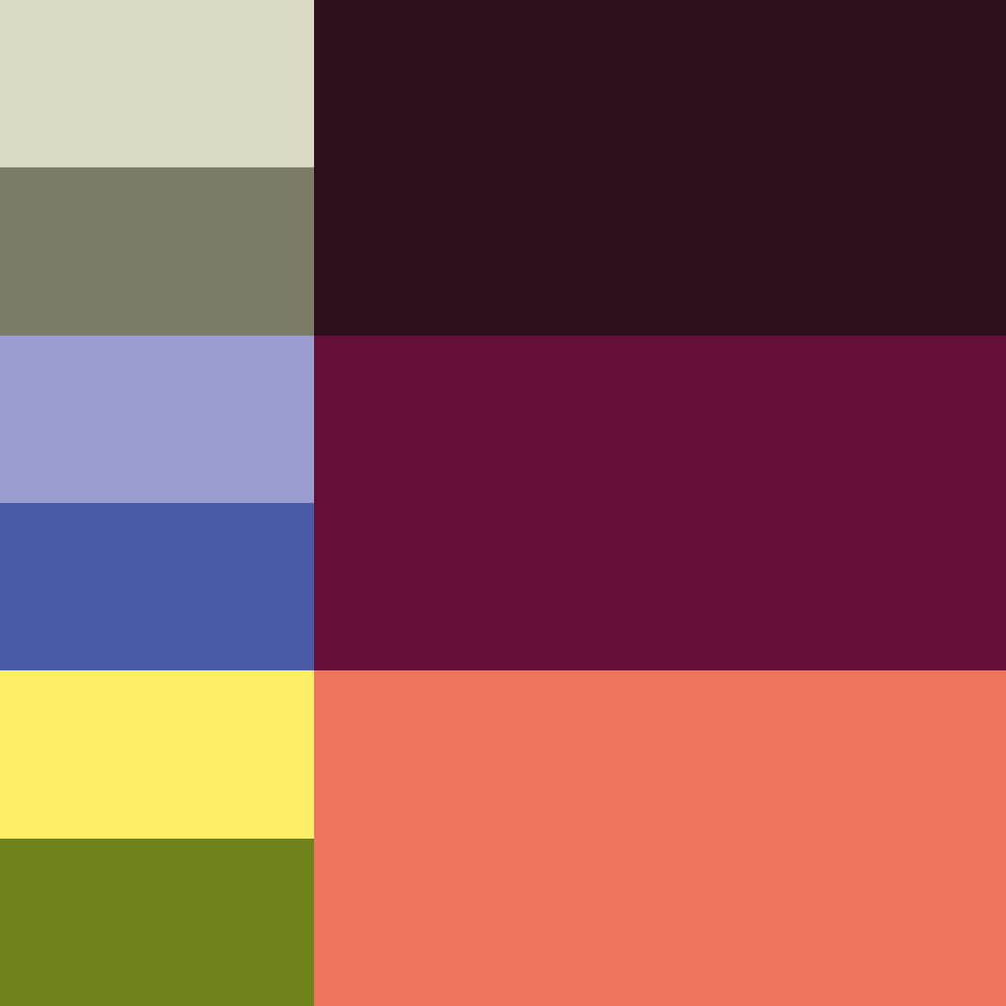 Farbpalette der neuen Markenidentität von cmsbox.