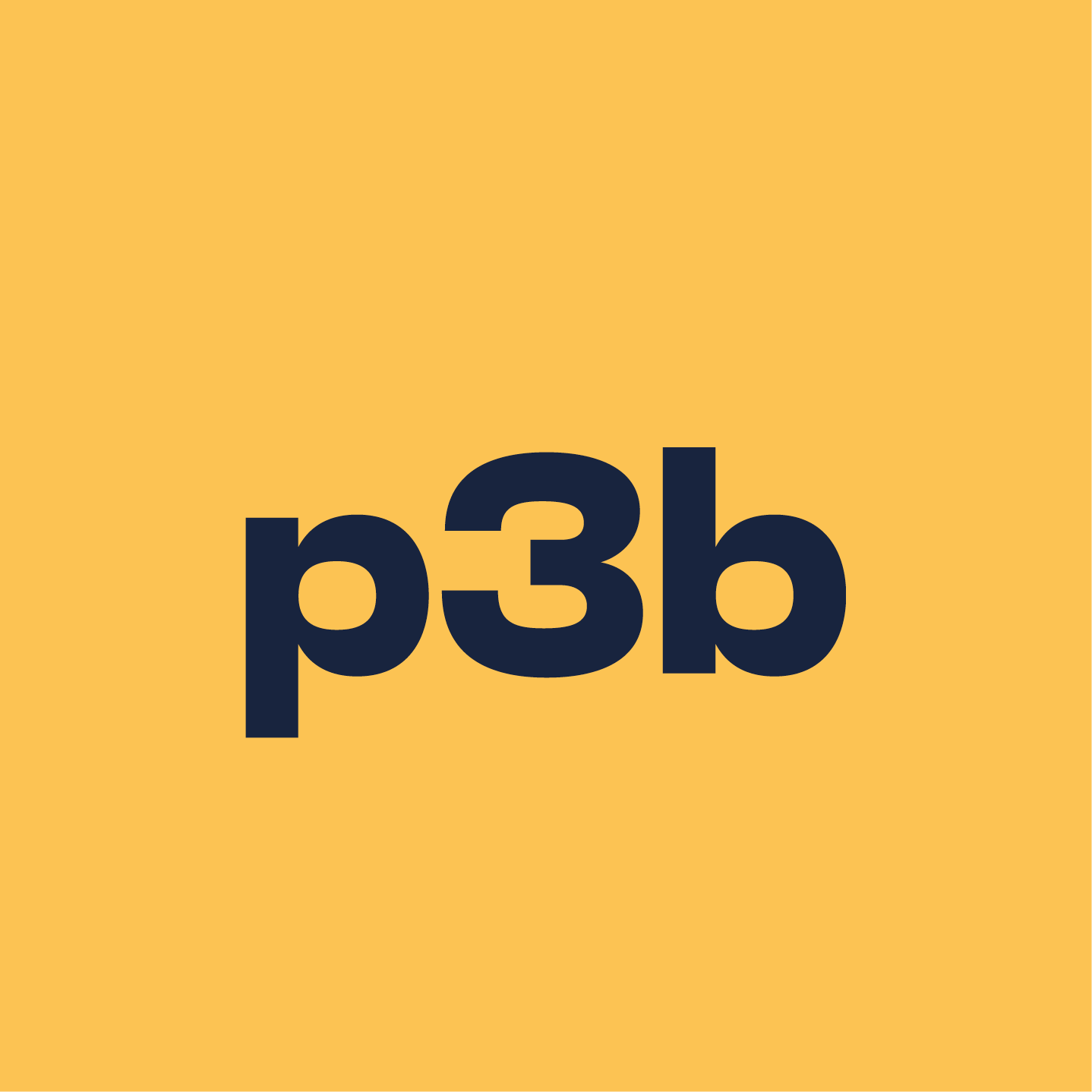 p3b Logo