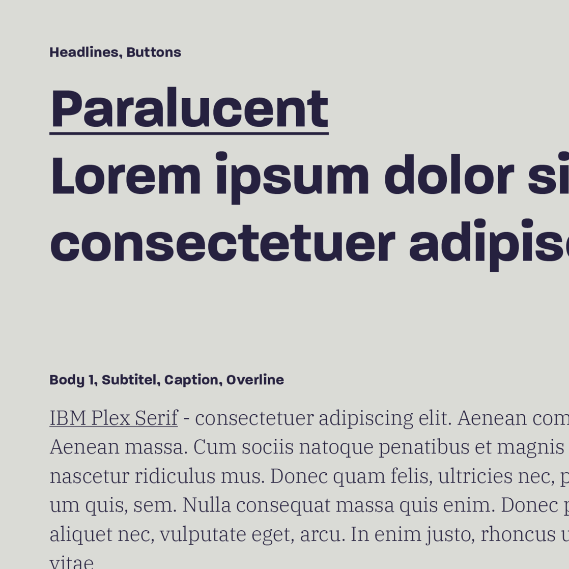 Markenschrift der Mendo AG Markenschrift der Mendo AG