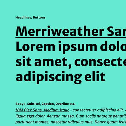 PlayIces Schriftbild PlayIces Schriftbild